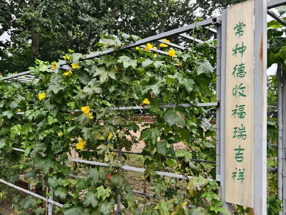 细说秋分，礼赞丰收|二十四节气公益活动之秋分招募令