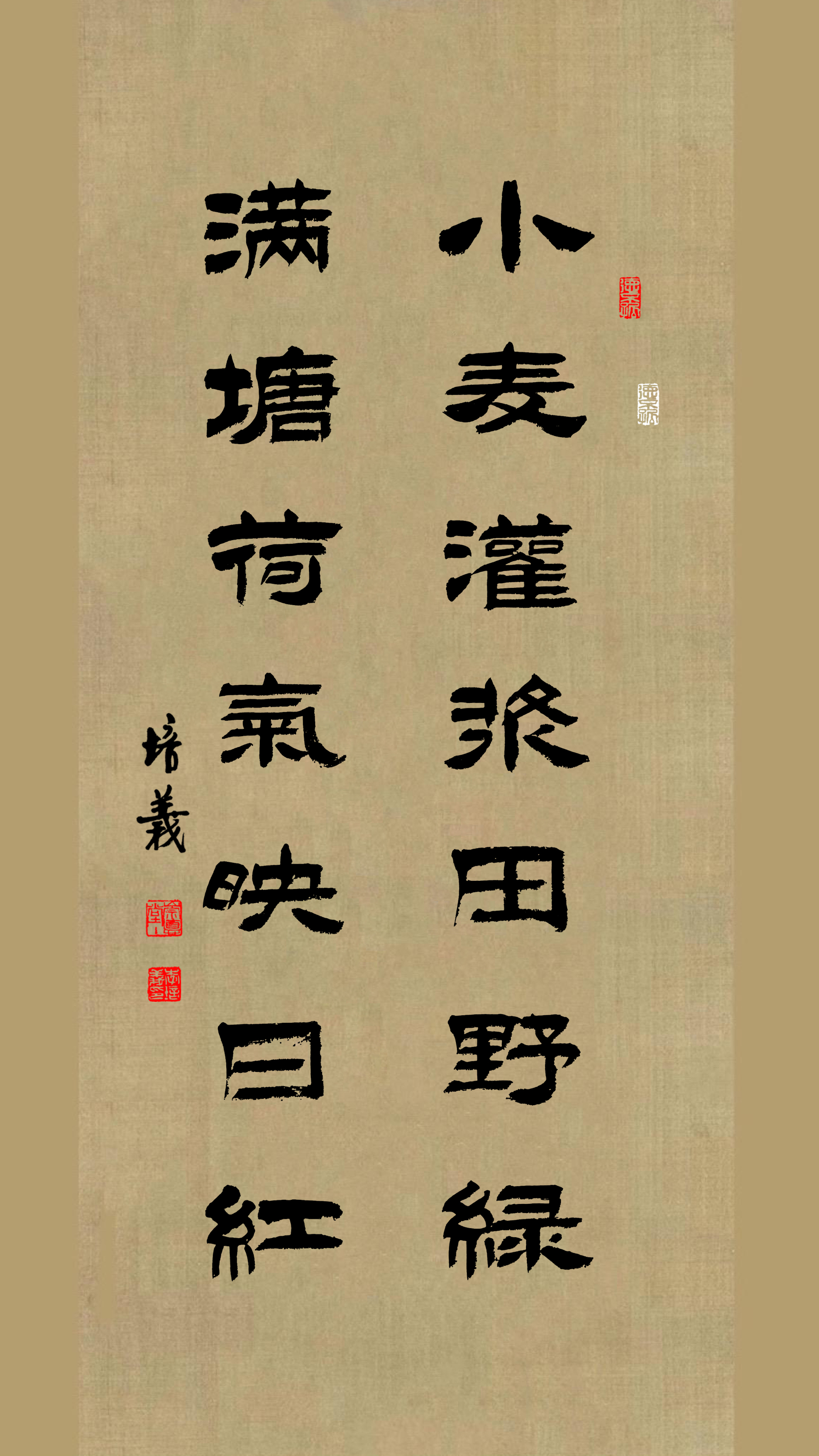 小麦灌浆田野绿，满塘荷气映日红.jpg