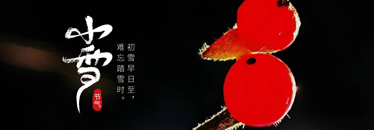 二十四节气·小雪： 负暄为乐 自昭明德